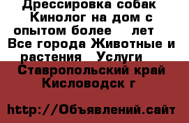 Дрессировка собак (Кинолог на дом с опытом более 10 лет) - Все города Животные и растения » Услуги   . Ставропольский край,Кисловодск г.